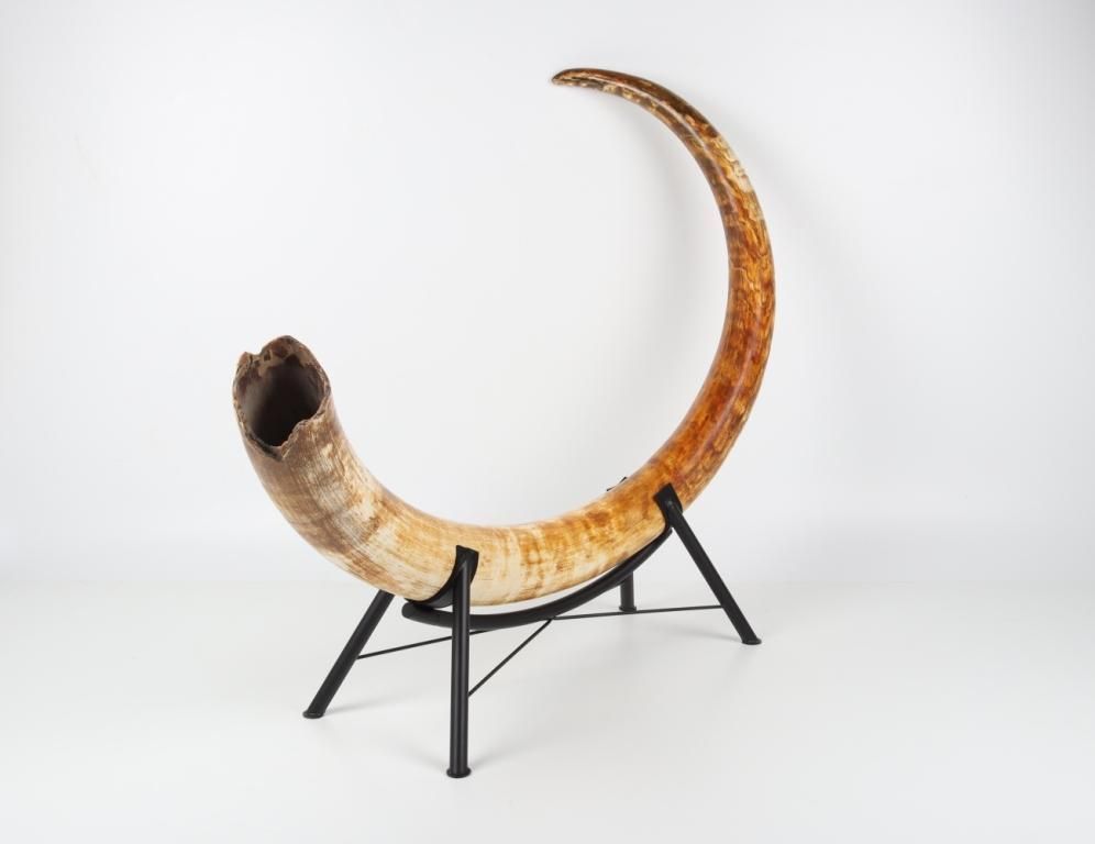 Mammoth Tusks & Luxury Interior Design