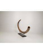 Restored woolly mammoth tusk