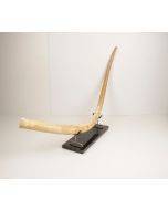 Natural woolly mammoth tusk