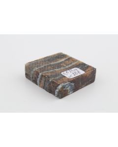 Stabilised mammoth molar piece