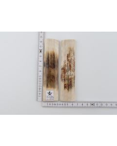 Natural mammoth bark scales