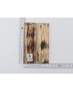 Natural mammoth bark scales