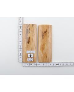 Stabilised mammoth bark scales