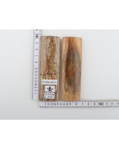 Stabilised mammoth bark scales