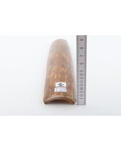 Caramel mammoth bark