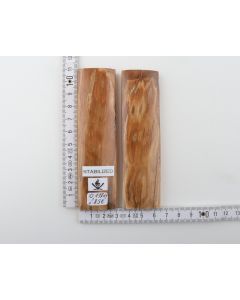 Stabilised mammoth bark scales