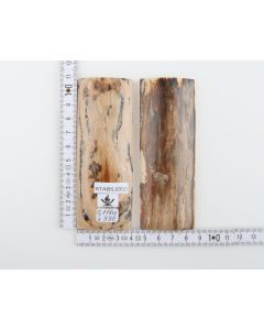 Stabilised mammoth bark scales