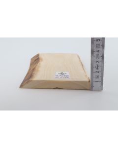 White mammoth ivory segment