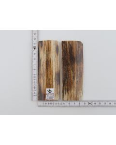 Natural mammoth bark scales