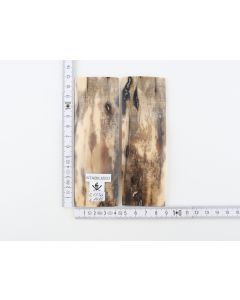 Stabilized mammoth bark scales