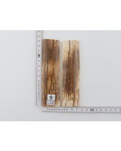 Natural mammoth bark scales