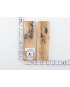 Stabilized mammoth bark scales