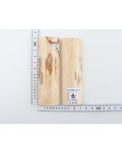 Stabilised mammoth bark scales