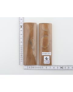 Stabilised mammoth bark scales