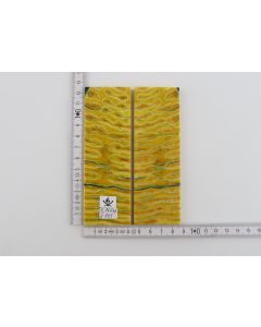 Stabilised mammoth molar scales