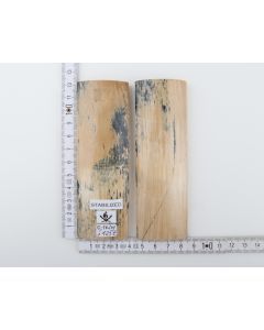 Stabilised mammoth bark scales