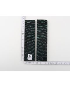 Stabilised mammoth molar scales