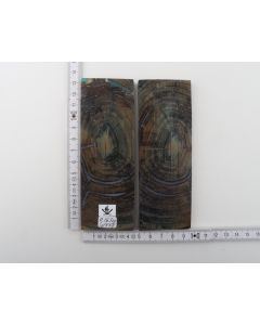 Stabilised mammoth ivory scales