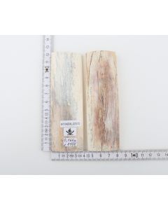 Stabilised mammoth bark scales