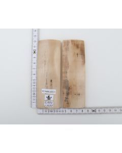 Stabilised mammoth bark scales