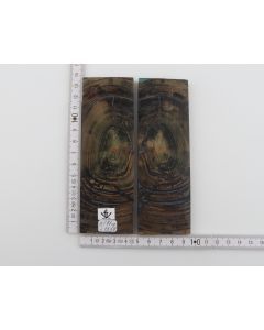 Stabilized mammoth ivory scales