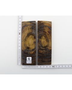 Stabilised mammoth ivory scales