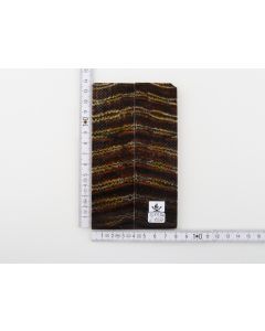 Stabilised mammoth molar scales