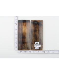 Stabilized mammoth molar scales