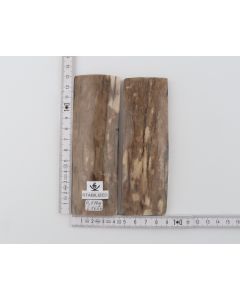 Stabilised mammoth bark scales
