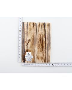 Stabilized mammoth bark scales