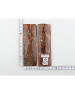 Stabilised mammoth bark scales