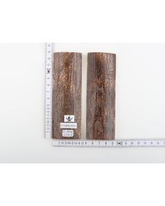 Stabilized mammoth bark scales