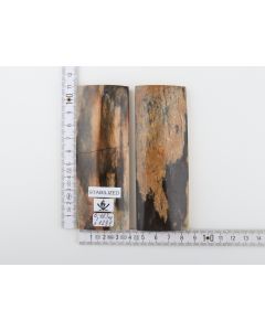 Stabilised mammoth bark scales
