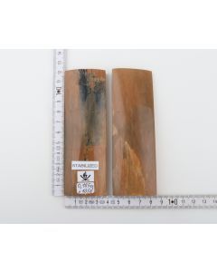 Stabilized mammoth bark scales