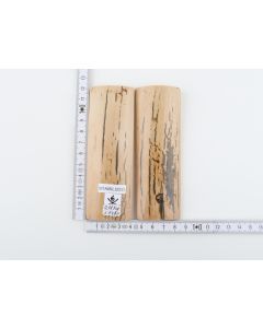 Stabilised mammoth bark scales