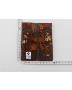Stabilized mammoth ivory scales