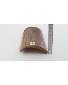 Brown mammoth bark