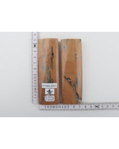 Stabilised mammoth bark scales