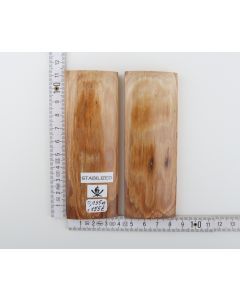 Stabilized mammoth bark scales