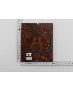 Stabilised mammoth ivory scales