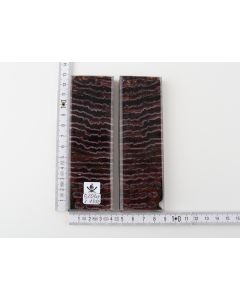 Stabilised mammoth molar scales