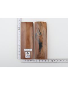 Stabilized mammoth bark scales