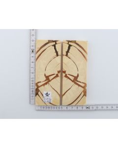 Stabilized mammoth ivory scales