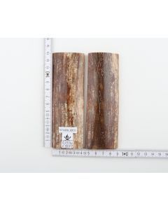 Stabilized mammoth bark scales
