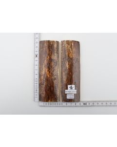 Stabilised mammoth bark scales