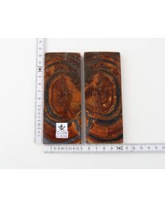 Stabilized mammoth ivory scales