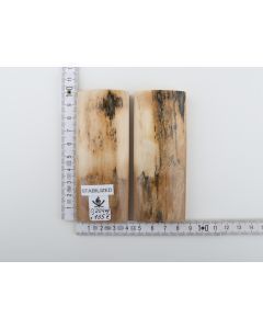 Stabilised mammoth bark scales