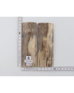 Stabilized mammoth bark scales