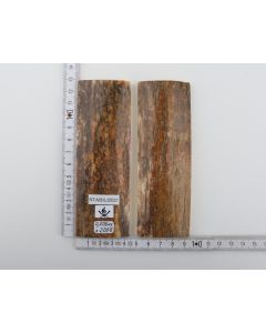 Stabilized mammoth bark scales