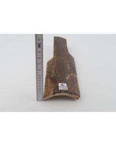 Brown mammoth bark